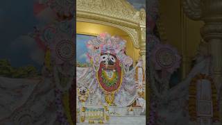 Rath Yatra  Special Darshan Of Jagannath Baldev Subhadra Maharani And Radhamadhav And GourNitai⭕⭕