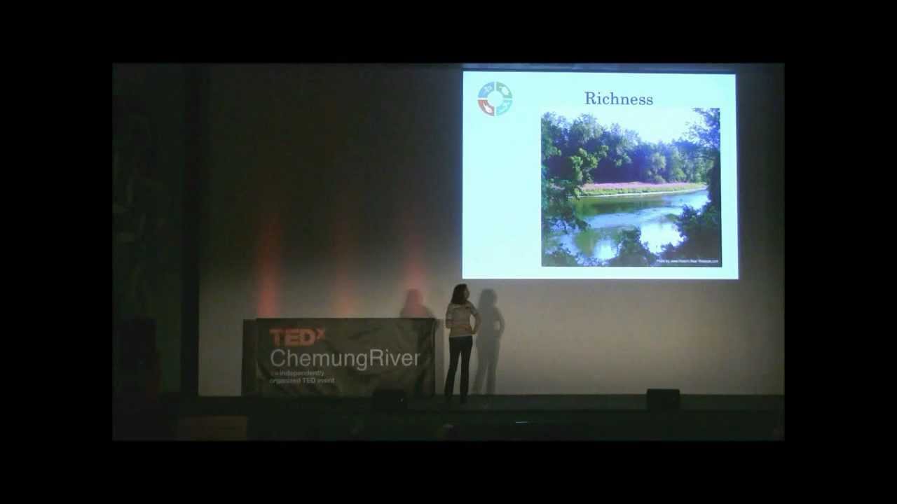 TEDxChemungRiver - Lee Welles - Gaia Theory