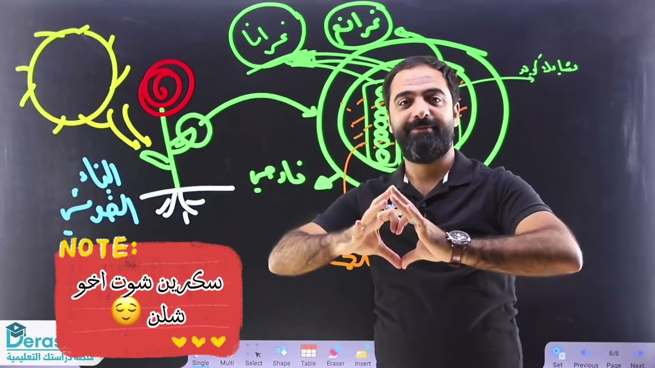 تركيب الخلية (البلاستيدات  ) ||الصف التاسع جيل 2010 || العلوم الحياتية ||أ.أنس النجار