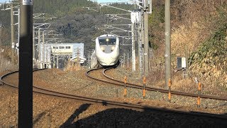 【JR西日本】冬晴れの北陸本線 列車撮影記 683系・681系・521系 細呂木～芦原温泉 2019年1月4日