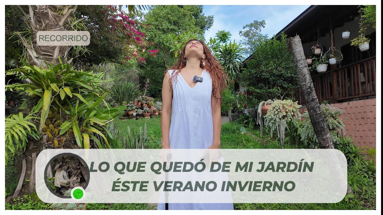 Un recorrido por mi JARDÍN en esta transición de VERANO a INVIERNO, Y te cuento COMO me ACCIDENTÉ😫