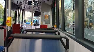 Transit Systems - 8549 - BYD D9RA/Gemilang Ecocity[Leichhardt](438x - Abbotsford)
