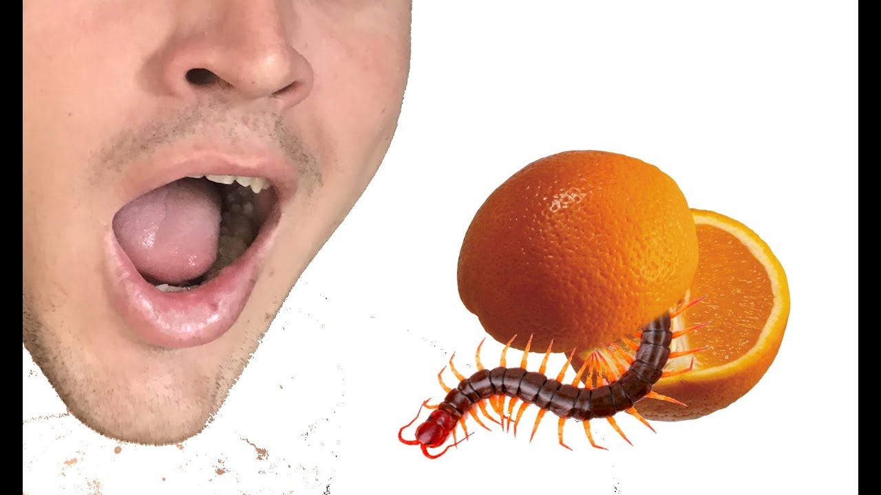 SURPRISE INSIDE FRUIT! WORM IN ORANGE! YouTube