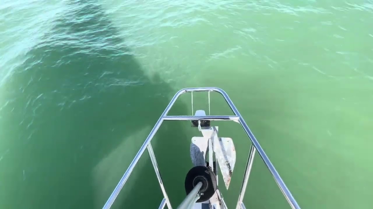 Une sortie sympathique tout à la voile