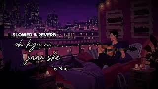 Oh kyu ni jaan ske song lofi version slowed and reverb Punjabi song by Ninja