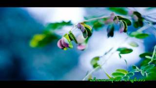 ထာဝရသင္ခန္းစာ chords