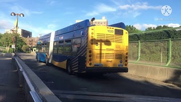 MTA Gone Wrong 2.0 (The Buses)