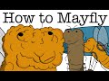 Your Life as a Mayfly