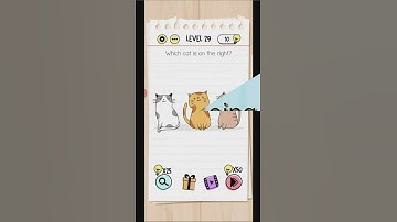 Which cat is on the right? || Level 29 || Brain test Solved