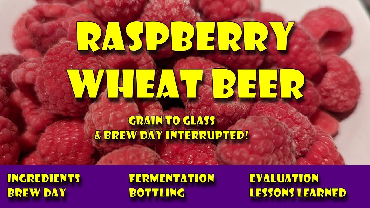 s20 Raspberry Wheat Beer All Stages: Brew Day, Fermentation, Bottling ...