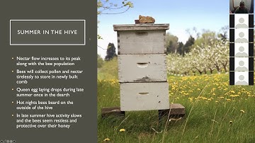Blue Ridge Bee Company - Beekeeping 101 - Part 2