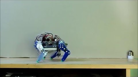 Quadruped robot walking and rotation