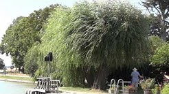 Castelnaudary on the Canal du Midi, France