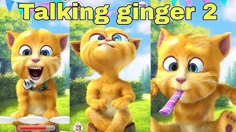 English Talking Tom Cat : 👍 Good stream | Playing Solo | Streaming with Turnip