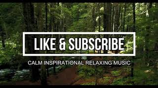 Light of Life | Relaxing Music for stress relief | Calm Inspirational Relaxing Music   CIRM