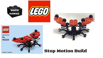 LEGO LadyBug 40324 BRICK HAWAII