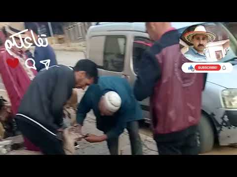 قالك الفياق بكري بالذهب مشري