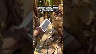 Ada hp iphone di pohon pisang?? #find #parodi #shorts
