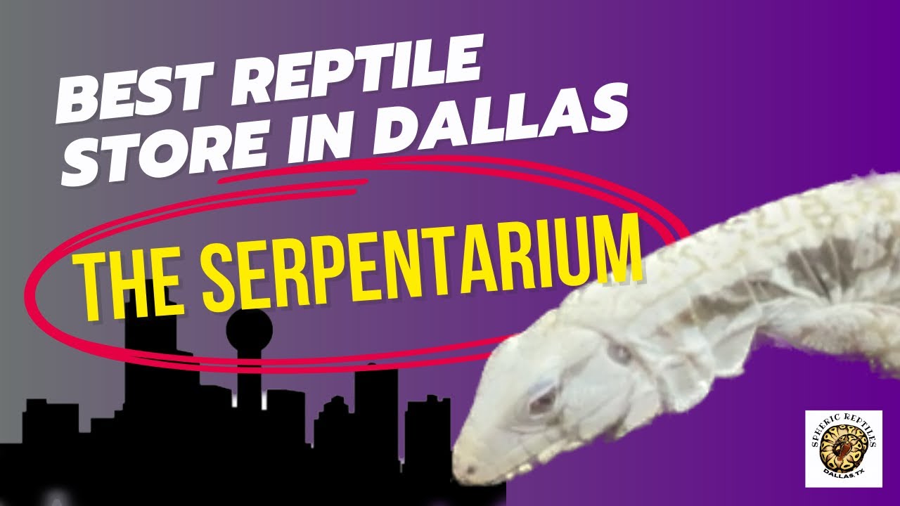 Best Reptile Store in Dallas: The Serpentarium. #pets #reptiles #dallas
