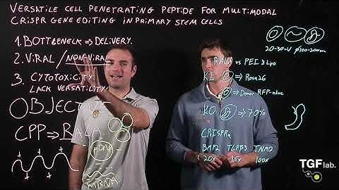 TGF Lab paper video summary Graham et al. 2025 Advanced Functional Materials