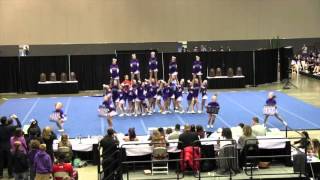 FHS Cheer Squad at State in 2015