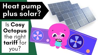 Is Cosy Octopus a good tariff with solar