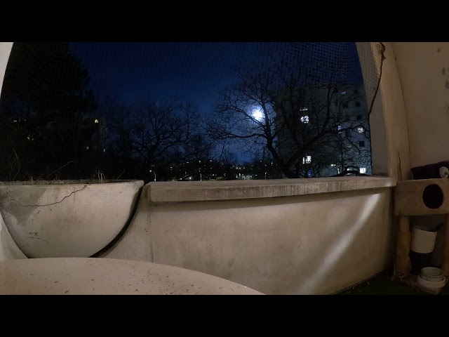 GoPro Hero 11 - Night Timelapse on Balcony