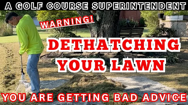 Lawn Care Myths That Waste Your Time & Money