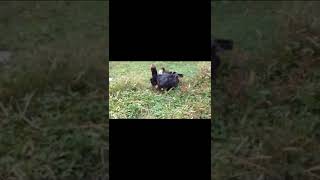 Ben Kimi Sevmişim Senden Ileri?