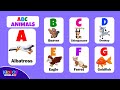 Kiddos World TV Animal Alphabet Quiz
