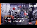 Covid: Ministers watch data as studies say Omicron risk lower BBC News live  BBC
