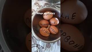 Яйца на Пасху