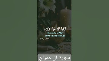 سورة آل عمران #quran #دويتو #دعاء #duet #صباحالخير #دعاءمستجاب #حالاتواتس #لايك #تيك_توك