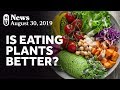 New research on plantbased diets and mortality