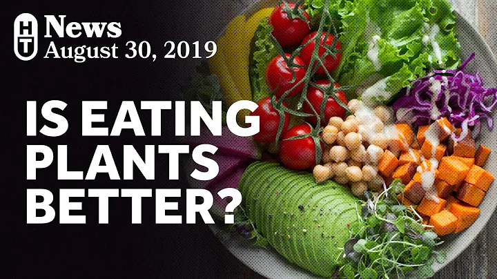 New Research On Plant-Based Diets and Mortality - DayDayNews