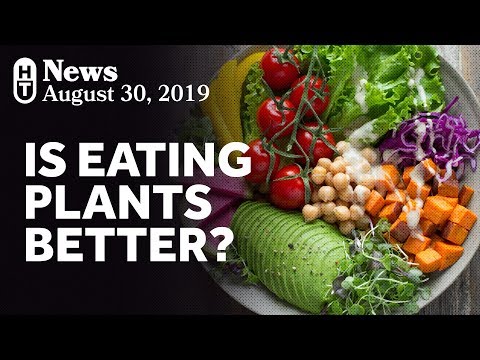 Video: Forskare Bevisar Att Vegetarianer Lever Längre än Köttätare