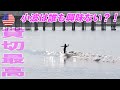 【ロングボード女子には最高な波❤︎】平和な小波オフショアをクルージング。週末の海なのに人が少なすぎる! カリフォルニア サーフトリップ 5