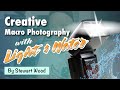 Creative Macro Photography with Light and Water | Laowa Live Stream Replay!