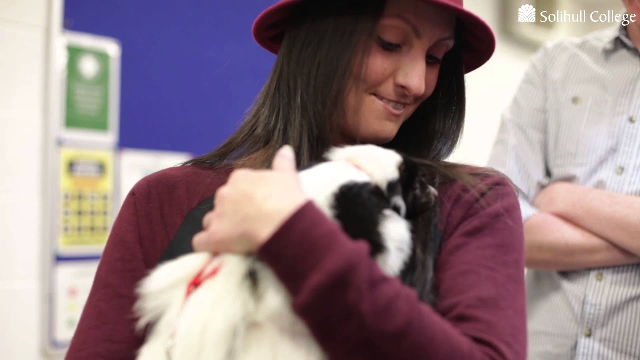 Solihull College's 'Try It' Open Days Animal Management YouTube