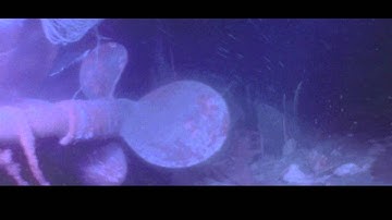 ザ・グリード(予告編)