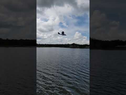 SeaRey over Lake Avalon