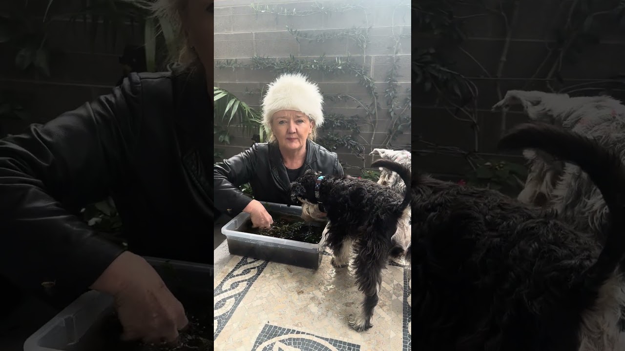 🌊 Algae Lumen Prints 📸