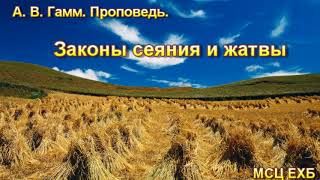 видео:  картинка: