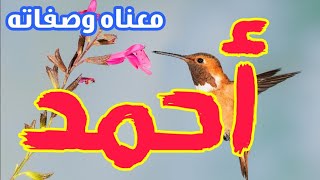 معنى اسم أحمد وصفات من يحمل هذا الاسم !!