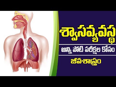 శ్వాస వ్యవస్థ || Respiratory System || Biology Classes in Telugu