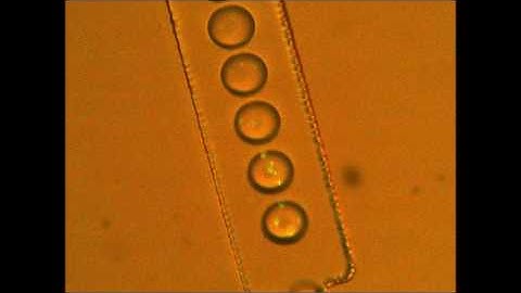 Droplet microfluidics