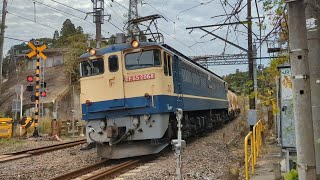 2022/11/29 EF65 2068 復活国鉄色 Japan Train