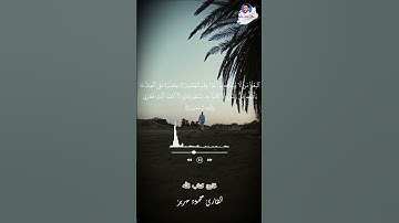 وجاء من اقصى المدينة رجل يسعى | سورة يس #قارئ_كتاب_الله