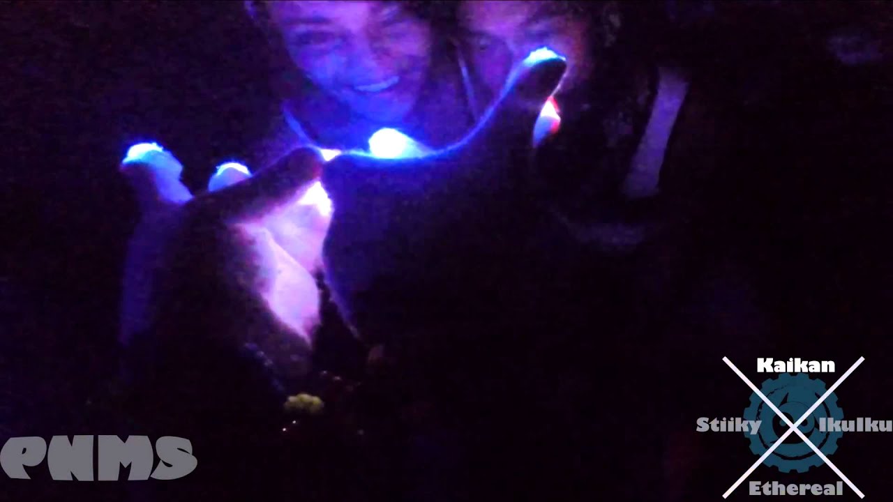 Porter Robinson Seattle 2014 Glover Video (Unofficial) YouTube