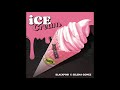 BLACKPINK Selena Gomez Ice Cream Vocals Only 